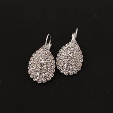 Load image into Gallery viewer, Women Water Drop Pendant Earrings
