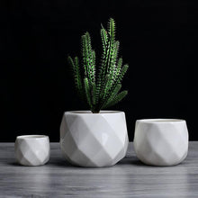 Load image into Gallery viewer, Creative Ceramic Diamond Geometric Flowerpot