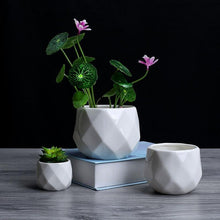 Load image into Gallery viewer, Creative Ceramic Diamond Geometric Flowerpot