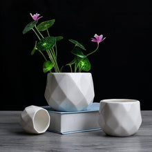 Load image into Gallery viewer, Creative Ceramic Diamond Geometric Flowerpot