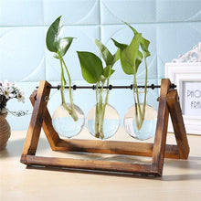 Load image into Gallery viewer, Glass and Wood Vase Planter Pots