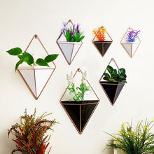 Load image into Gallery viewer, Wall Hanging  Living Room Plant