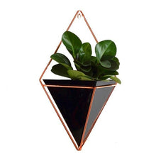 Load image into Gallery viewer, Wall Hanging  Living Room Plant