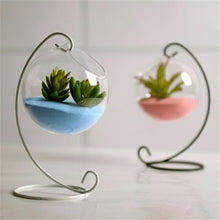 Load image into Gallery viewer, Glass Hanging Glass Flower Planter