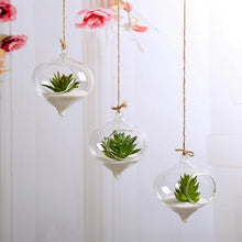 Load image into Gallery viewer, Glass Hanging Glass Flower Planter